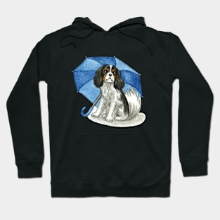 Cavalier King Charles Spaniel - Tri-colour Blue Umbrella Hoodie